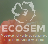 Ecosem