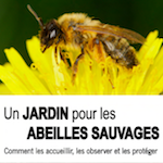 Jardin abeilles